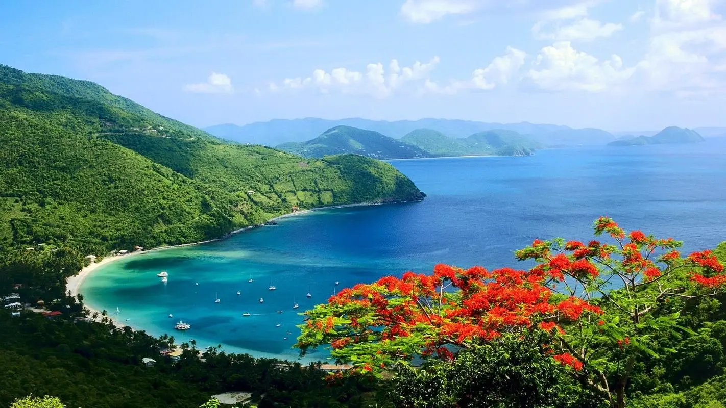 创意高标准