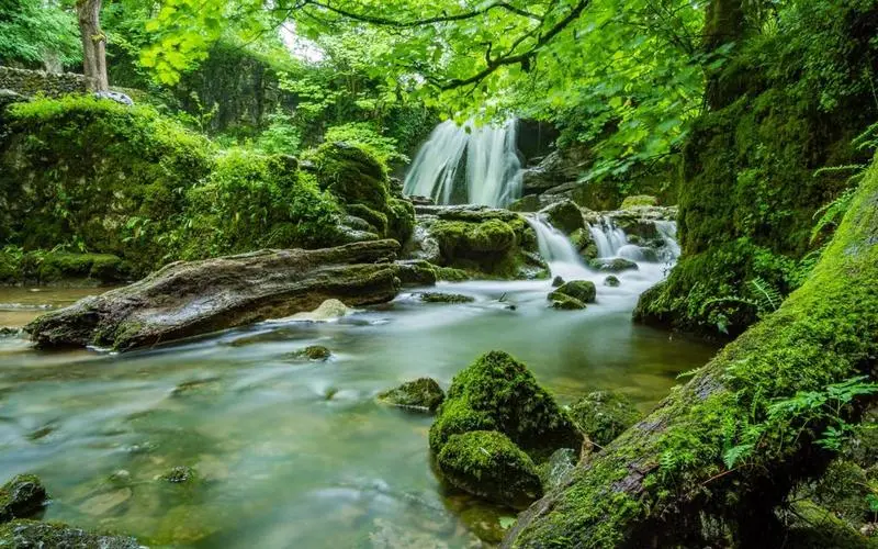 节能高端